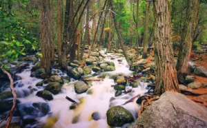 River, nature landscape