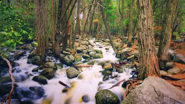 River, nature landscape